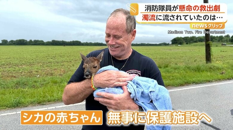 無事に保護施設に移されたというシカ