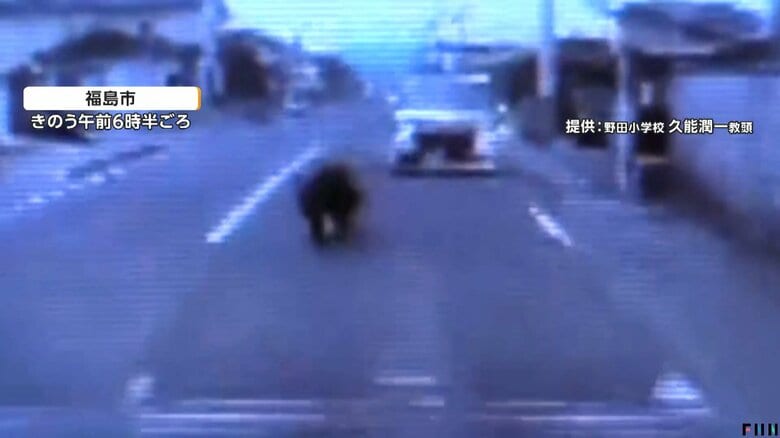 道路を走るクマ