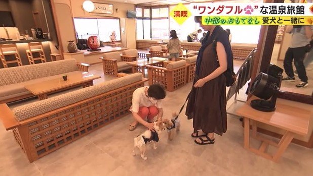 ロビーにはワンちゃんの姿