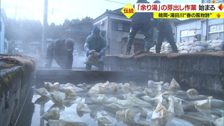 種もみの催芽に最適な32度