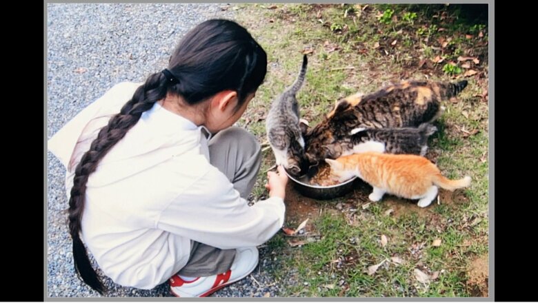 当時小学3年生の愛子さま　右手前の茶色い猫の上にいる尻尾が短い猫がみー　宮内庁提供