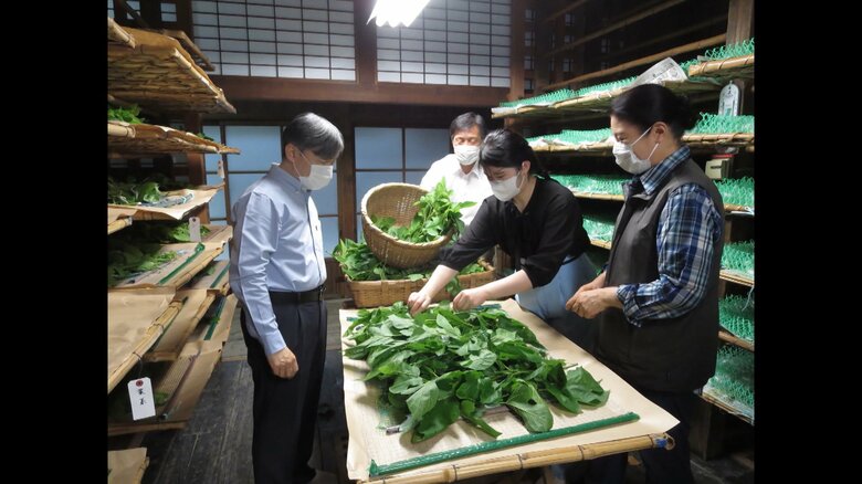 桑を与えられる天皇皇后両陛下と愛子さま（2022年6月1日　宮内庁提供）。愛子さまは去年初めて、皇居内での養蚕の作業に参加された