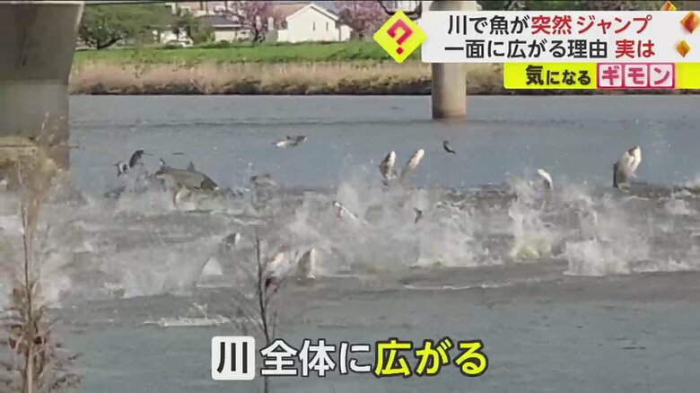 （FNN投稿サイト「ビデオPost」）
