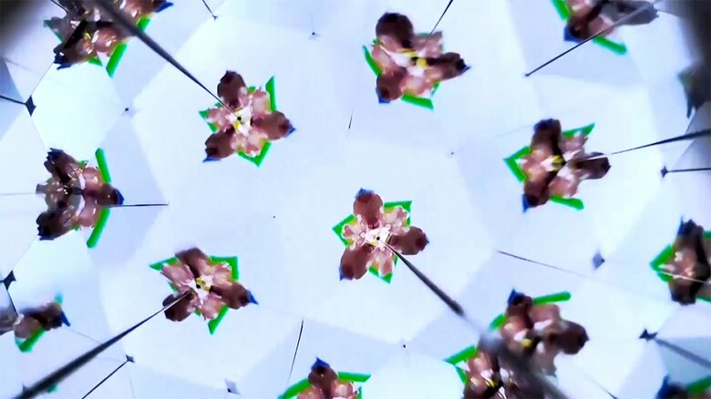 万華鏡をのぞいた様子