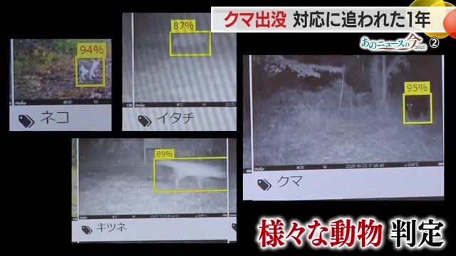 クマ・サル・イノシシからの被害を防ぐために導入し、5年間で動物の種類を判別できるようになった