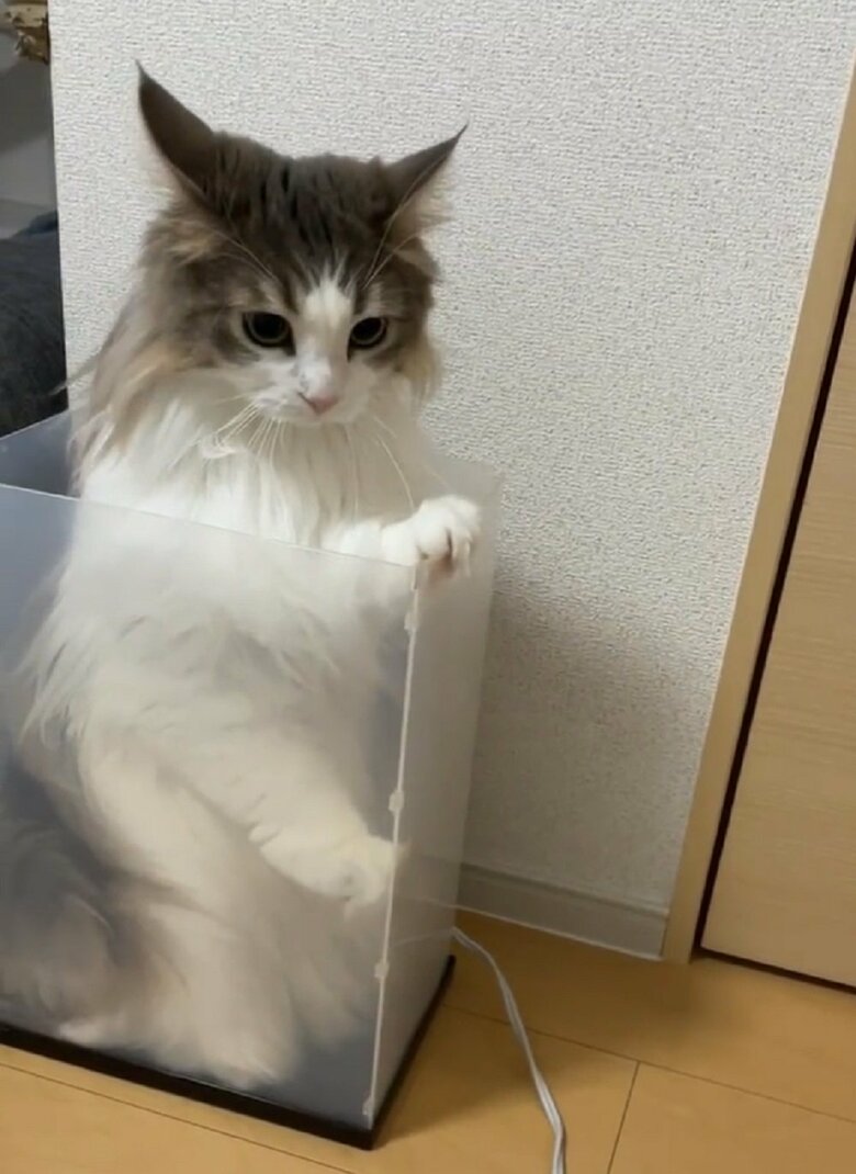 「無理かもしれない…」といった表情