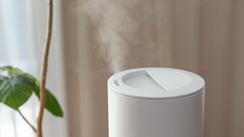 室内の湿度でも対策できるという（画像はイメージ）