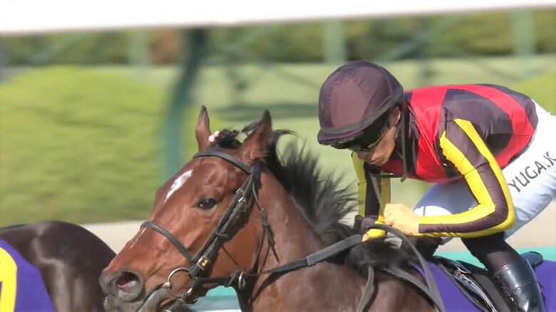 リバティアイランドと鞍上の川田将雅騎手