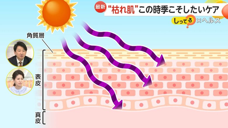 冬の乾燥により炎症やシミ、シワを引き起こす肌の仕組み②