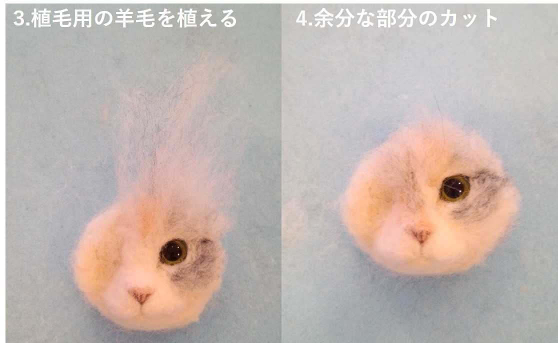どっちが本物 羊毛フェルト猫が リアルかわいい と話題 でも視線が追ってくるのはなぜ