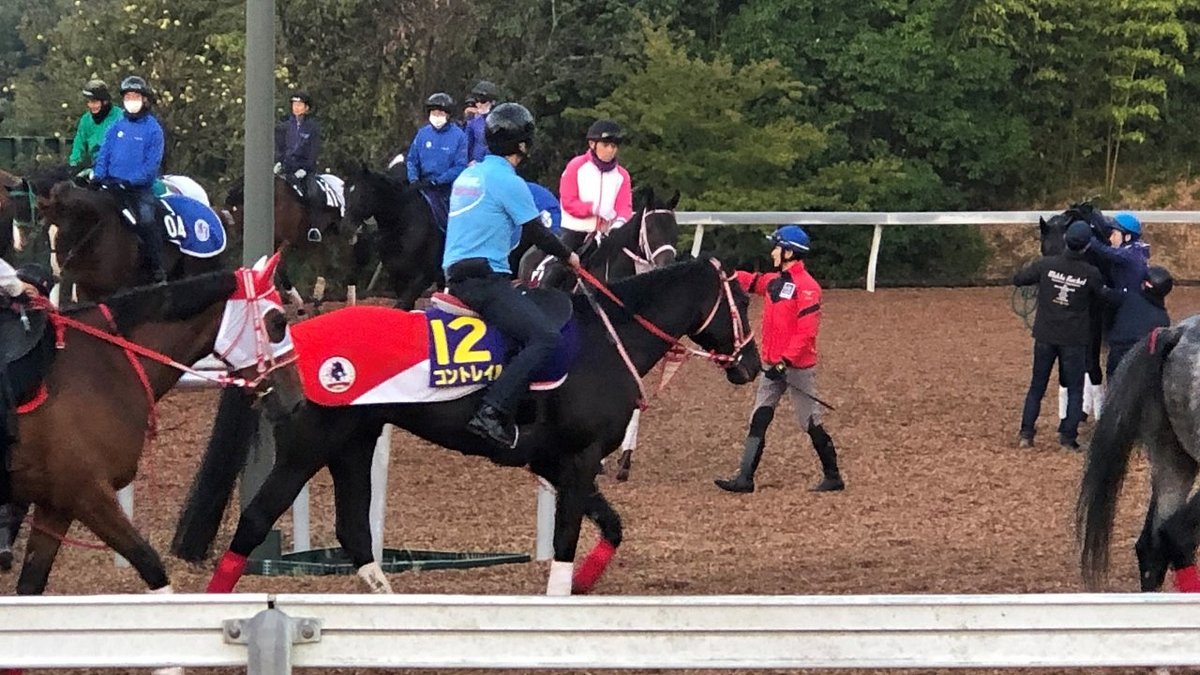 偉大な父ディープインパクトに続いた! コントレイルが無敗の三冠馬に