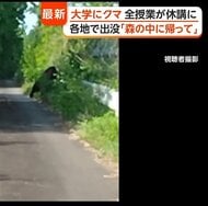 カメラが捉えた体長約1メートルのクマ　近くに大好物“ミツバチの巣箱”　岩手では大学構内にクマ侵入し休講に