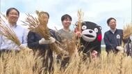 宇城市でサンマルクファーム収穫祭【熊本】