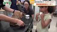 命の大切さ知って！長崎動物愛護管理センターで初のバックヤードツアー