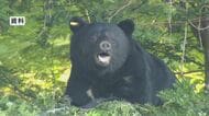 【クマ】「緊急銃猟」猟友会員から不安の声「何かあったとき保証は」 対応基準など「マニュアル」作り、市町村に周知へ 長野県