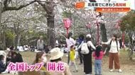 高知城の桜は“の～んびり”4分咲きも「人が咲いてます」　四万十川では沈下橋と桜の共演も