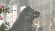 大雨の関東で相次ぎ「休校」発表　栃木県全域や東京・千代田区、台東区、世田谷区、杉並区、横浜市などの公立小中学校