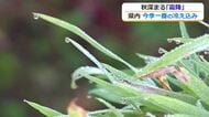 二十四節季の「霜降」　福井県内ほとんどの地点で今季一番の冷え込み　大野7.1度、勝山で7.8度など11月中旬並み