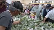 宮古島からゴーヤーの魅力を発信　5月8日ゴーヤーの日