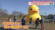 全長11ｍの巨大アヒル大人気　2日間で4600人訪れる「すごいの一言」グッズ販売も　大分県国東市