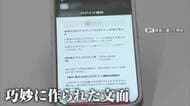 「どこまで漏れたか恐怖」巧妙化する詐欺メール　被害者が語る実態　クレカ不正請求に不審な“銀行振り込み”　専門家「公式アプリやサイト確認を」