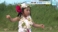 夏の風物詩「サタデーフラ」始まる　心地よい風をうけフラダンスの愛好家たちが踊りを披露　山口・周防大島