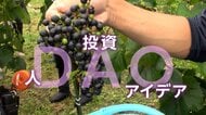 「DAO」で地方創生の新たなカタチへ　人・投資・アイデア集まる組織提案