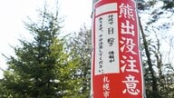 街に出没する「アーバンベア」が増加中…夜に活動など野生と異なる行動パターンと身を守る対策