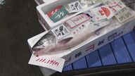 【秋の味覚は価格どうなる？】“秋サケ”初競りで1キロ11万1134円！過去10年で最高額に サケ来遊量は平成以降で最も少ない予測 サケもイクラも高値か