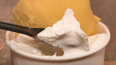 ミルクやマンゴーに抹茶…おいしい食材で作るジェラート 移住夫妻がこだわる“究極のなめらかさ”【宮崎発】