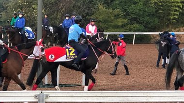 偉大な父ディープインパクトに続いた! コントレイルが無敗の三冠馬に…乗り越えた“3つの壁”
