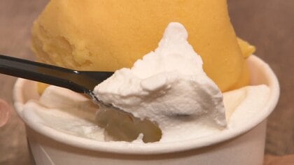 ミルクやマンゴーに抹茶…おいしい食材で作るジェラート　移住夫妻がこだわる“究極のなめらかさ”【宮崎発】