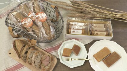 かつての食糧難きっかけに創業…老舗製パン会社が開発する「昆虫のパン」で未来の食糧問題も解決へ