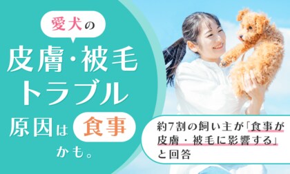 愛犬の皮膚・被毛トラブル、原因は食事かも。約7割の飼い主が「食事が皮膚・被毛に影響する」と回答