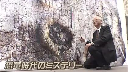 約１億２０００年前の生態系の謎解明する発見…岡山理科大の研究グループが大型肉食恐竜の足跡発見【岡山】