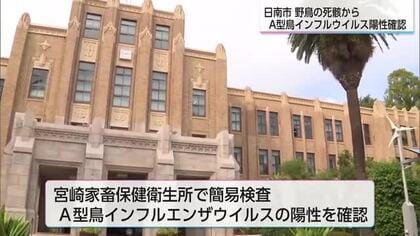 宮崎県日南市で見つかった野鳥の死がい　Ａ型鳥インフルエンザウイルス陽性を確認