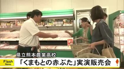熊本農業高校の生徒が育てたブランド豚『くまもとの赤ぶた』実演販売会【熊本】