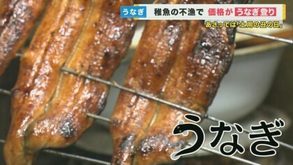うなぎを使わない“ほぼウナギ”食べてみると…うなぎも食文化も守る新たな選択肢　カネテツ