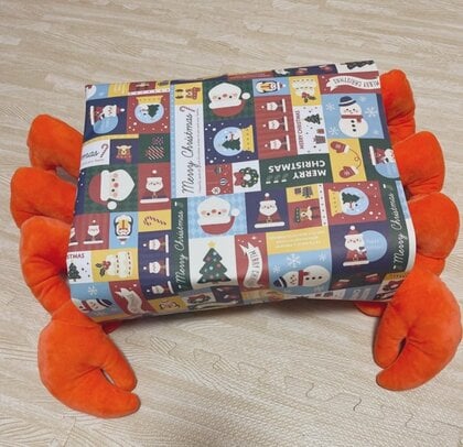 どう見てもカニ！母親による「自分で歩いてきた風」ラッピングがシュール…クリスマスプレゼントを見た3歳息子の反応を聞いた