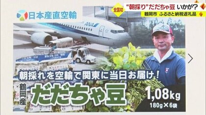 鮮度が命　“朝採り”だだちゃ豆がその日に届く　ふるさと納税返礼品として全国初の「空輸・当日配達」【山形発】