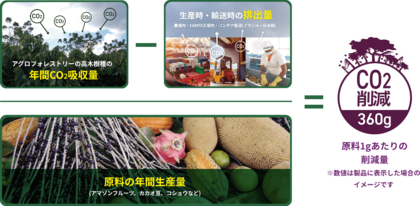 株式会社フルッタフルッタ2023年度CO2削減量のご報告