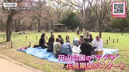 【札幌の円山公園で花見期間中の特別対応がスタート】火気使用禁止のなか多くの花見客でにぎわう「サクラきれい！」―4月25日から警備員の見回りも始まり本格的な花見の期間に〈北海道札幌市〉