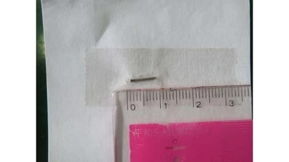 給食に“針金”のような金属片混入　益田市の小学校で食事中の児童が見つける　健康状態に異常なし（島根）