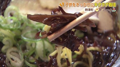 長崎発「きみみちゃん」が熱い！ビタミンD30倍?!のヒミツ 　時津町が挑む奇跡のキクラゲで地域再生