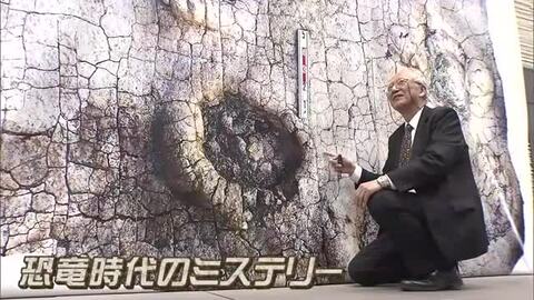 約１億２０００年前の生態系の謎解明する発見…岡山理科大の研究グループが大型肉食恐竜の足跡発見【岡山】