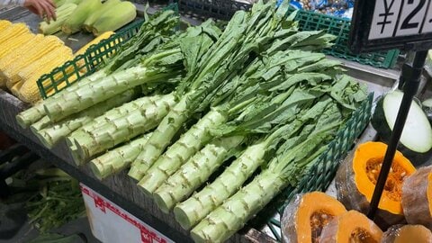 中国で「茎レタス」の“違法着色”発覚　青と黄色の食品用着色料を検出　黄ばみや傷隠しか　市民「怖くて買えない」