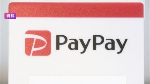 PayPayが生命保険に参入　1343億円で買収　金融商品拡大へ