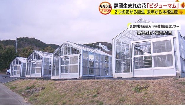 県農林技術研究所・伊豆農業研究センター