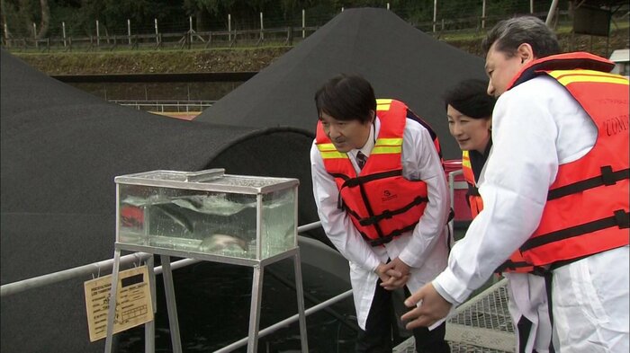 平成29年9月 サケの養殖場ご覧(チリ・ラウニオン)