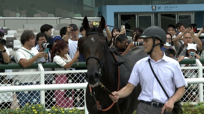 野路菊Sを制したアランカール